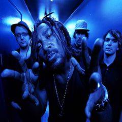 Skindred : Electric Avenue